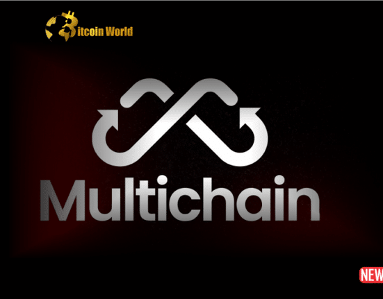 multichain hack