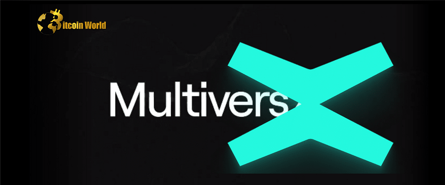 multivers
