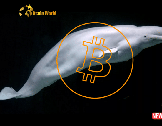 mysterious btc whale