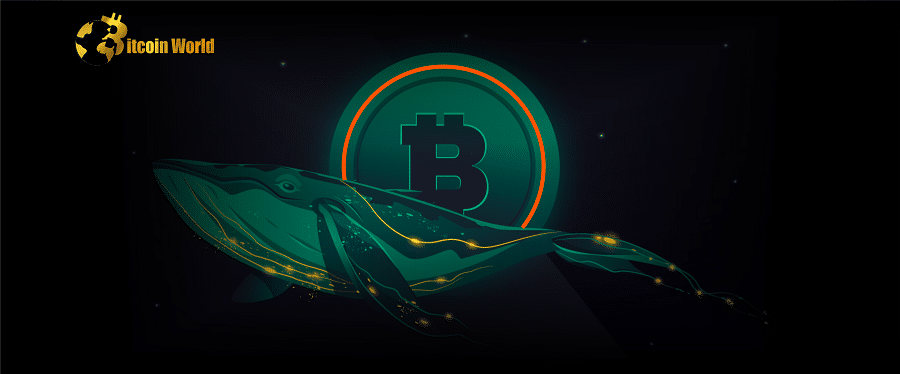 Mysterious Bitcoin Whale Moves 412 $BTC After Being Dormant for Over a Decade