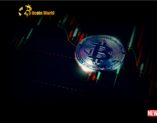 navifating btc