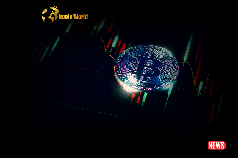 navifating btc