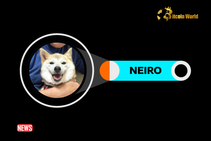 NEIRO Token Faces Insider Trading Allegations as BubbleMaps Reports 78% Pre-Allocation