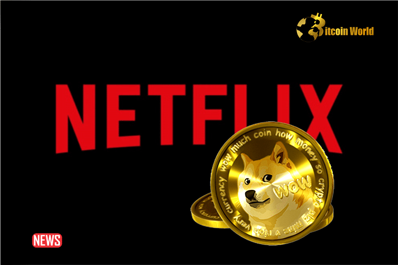 NETFLIX’S Director Won $27 Million From A $4 Million Doge Gamble