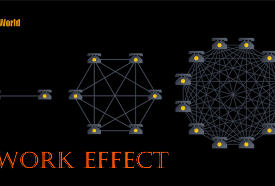 What is the Network Effect?