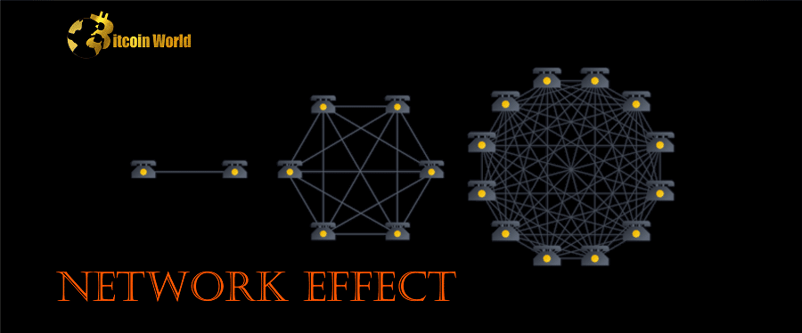 What is the Network Effect?