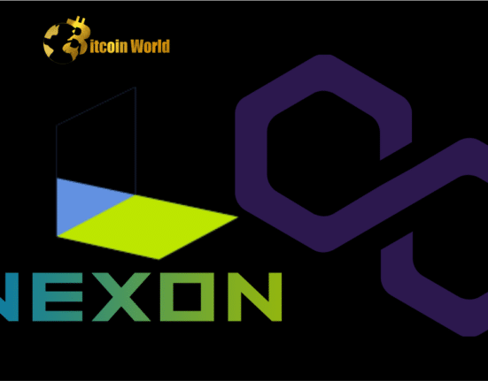 nexon poygon