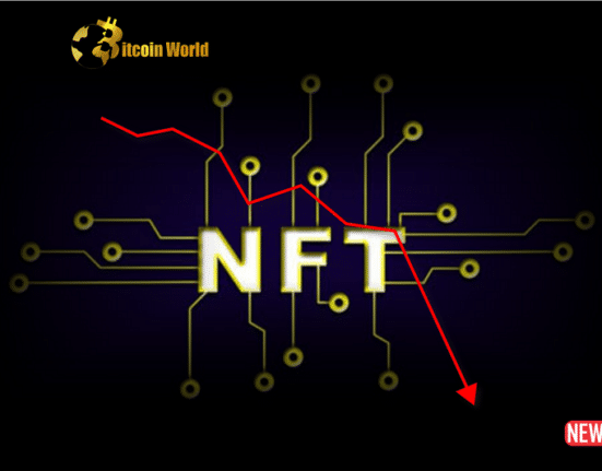 nft fell