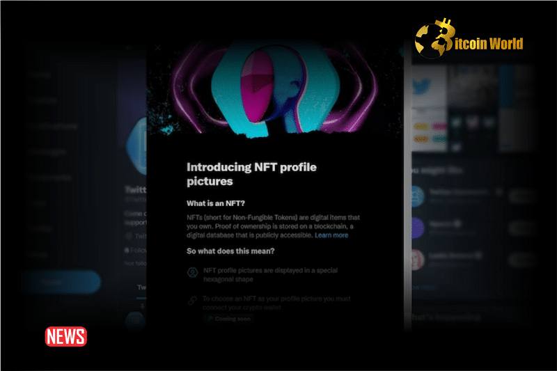 Elon Musk’s X Discontinues NFT Profile Photo Feature