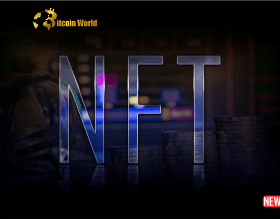 nft turbu