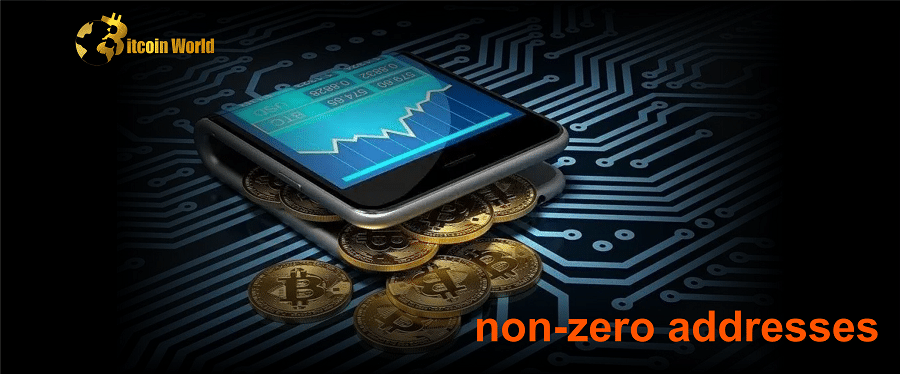 Bitcoin Hits Record 44M Non-zero Addresses, Thanks to Ordinals: Glassnode