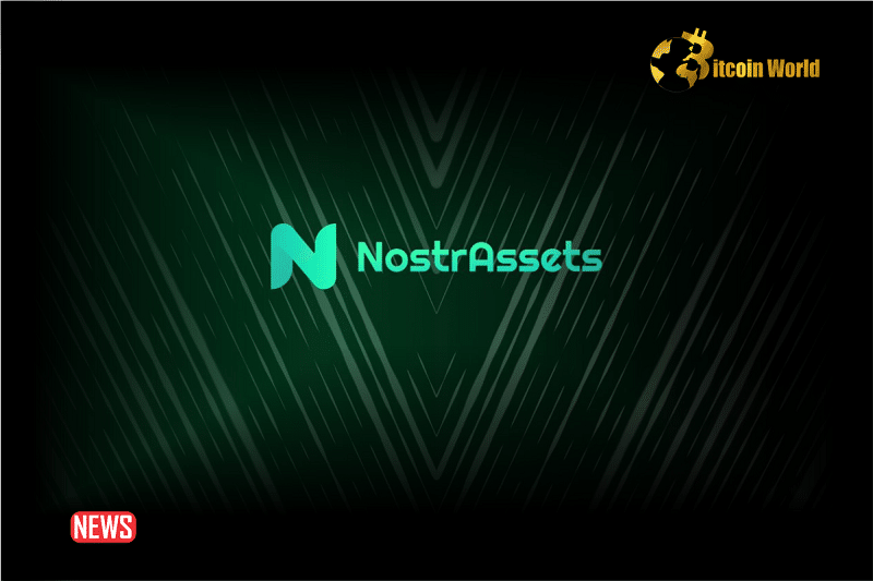 Nostr Assets Temporarily Halts Deposit Functions Amidst Surging User Activity