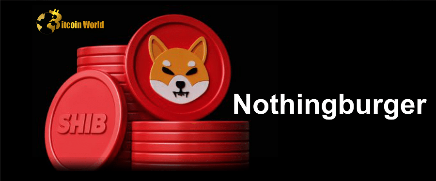 Lead Shiba Inu Developer Apologizes as Countdown Ends Up Being Nothingburger