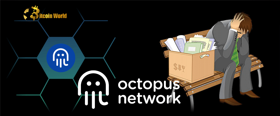 Near Project’s Octopus Network lays off 40% of its Staff Amid Crypto Winter