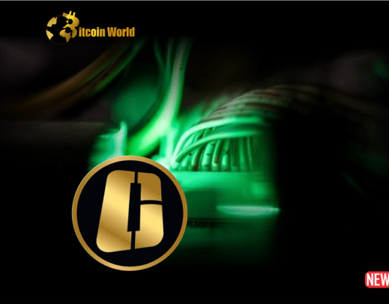 onecoin lawyer