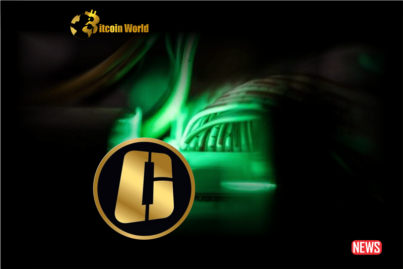 onecoin lawyer