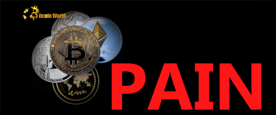 pain crypto inv