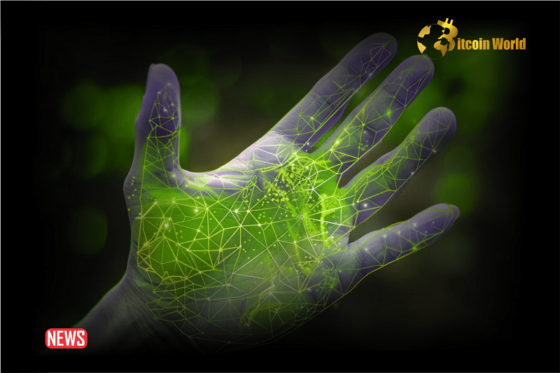 Polygon, Animoca Brands, And The Human Institute Teams Up To Launch Palm Recognition Proof Of Humanity Protocol
