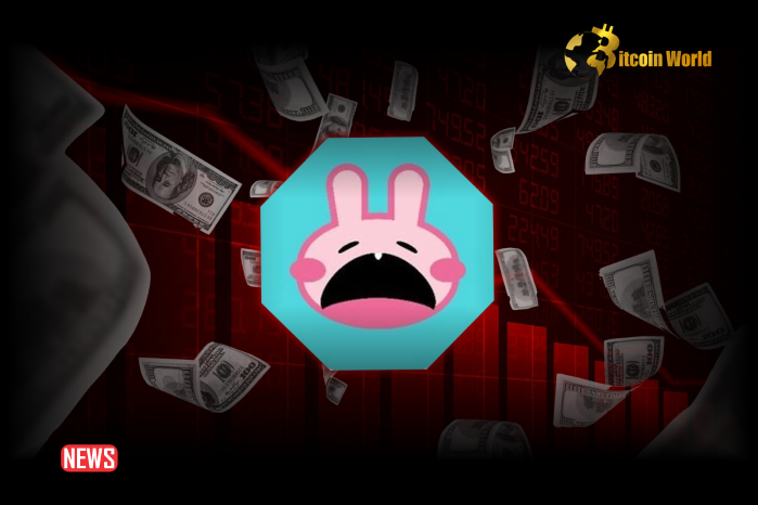 Pancake Bunny Hacker Moved $2.9M Of ETH Through Tornado Cash