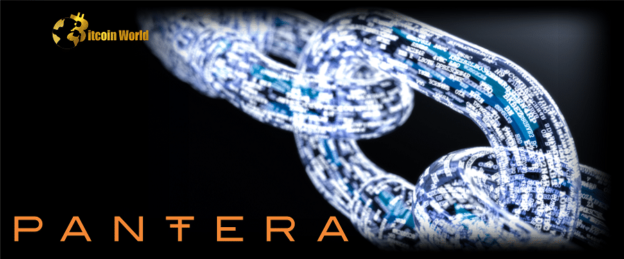 ‘Tremendous time' to start a Blockchain Company, says Pantera General Partner