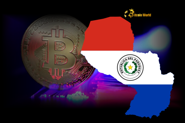 Paraguay Unveils Bold Plan for Bitcoin Legal Tender