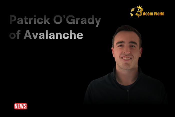 Patrick O'Grady, Ava Labs Engineering VP Leaving Team To Start Own Company