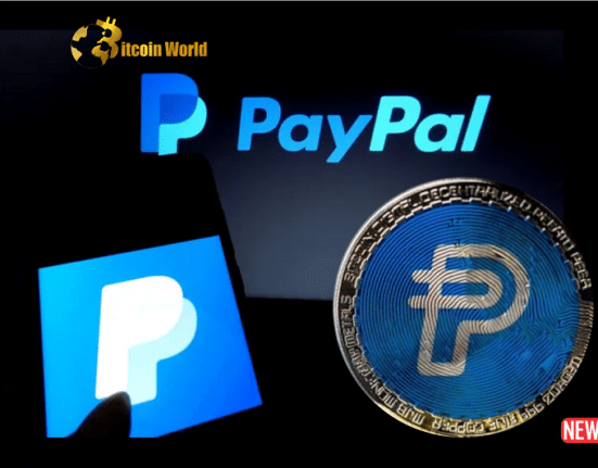 paypal coin