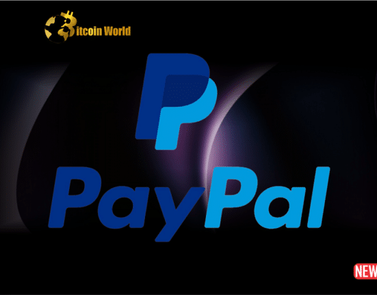 paypal foray
