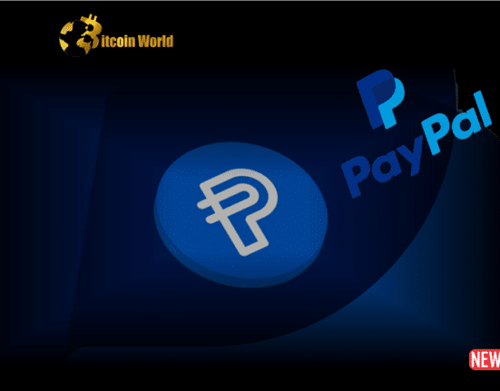 paypal stablecoin