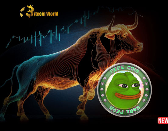 pepe bull run