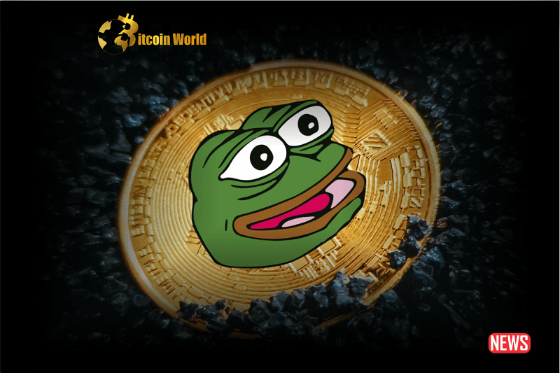 pepe coin surg
