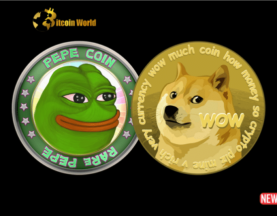 pepe doge