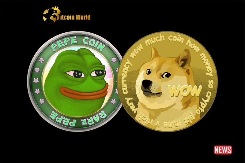 pepe doge