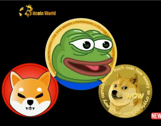 pepe shiba doge