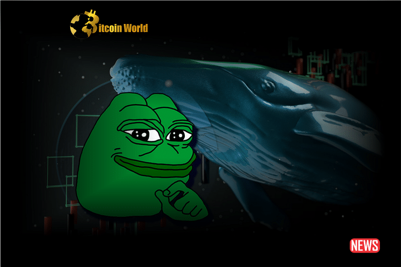 pepe whale 1
