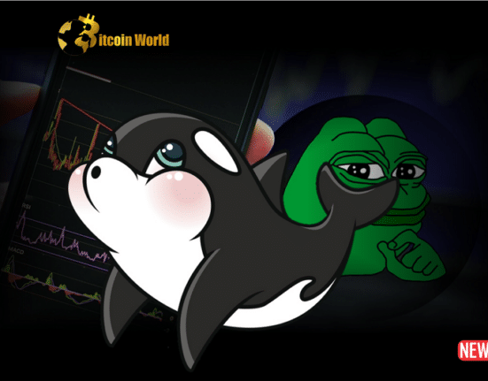 pepe whale