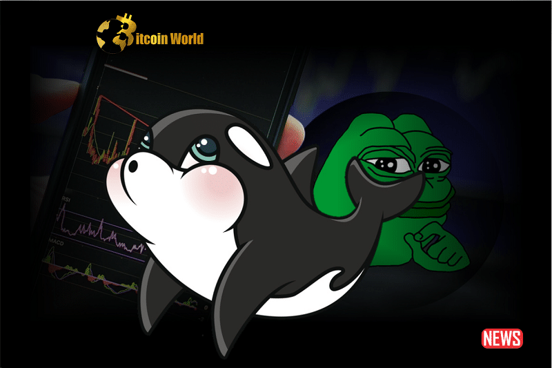 pepe whale