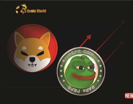 pepecoin shib
