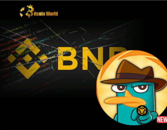 perry bnb token