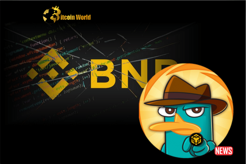 perry bnb token