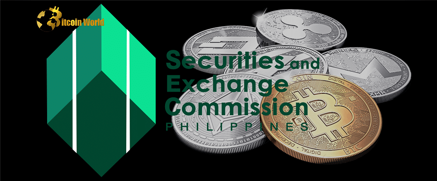 Philippines Securities Regulator Seeks more Authority to Police the Crypto Industry