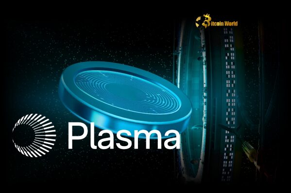 Plasma Stablecoin Achieves Stunning $500M Crypto Fundraising Milestone in Minutes