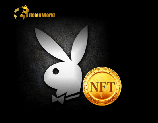 playboy nft