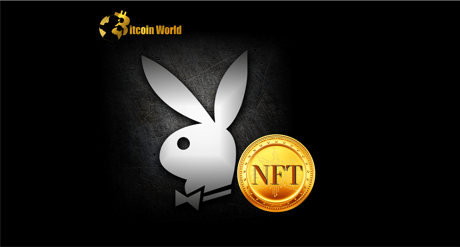 playboy nft