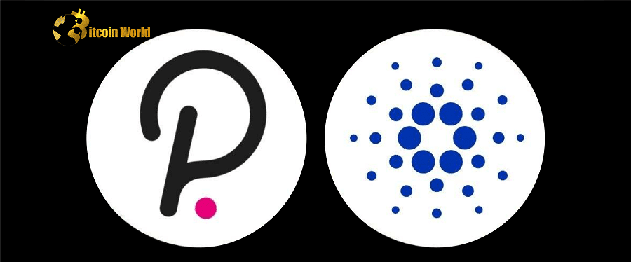 Polkadot (DOT) and Cardano (ADA) Maintain Crypto Development Activity Lead, Data Shows