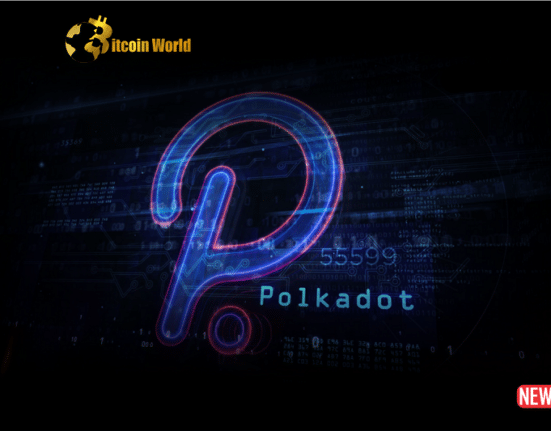 polkadot para