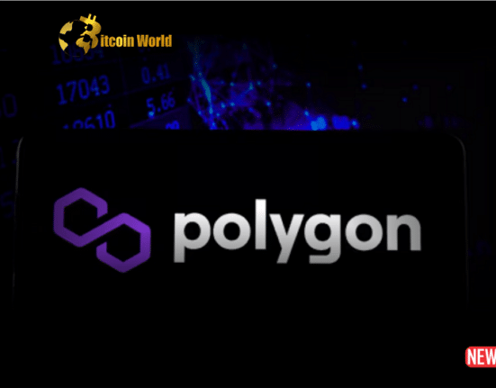 polygon 2.0