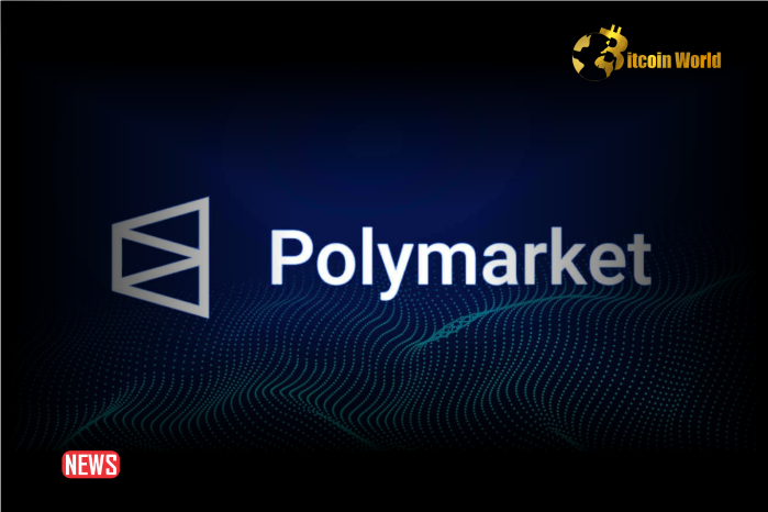 Taiwanese Man, Chen, Accused Of Using Polymarket To Bet On 2024 Elections
