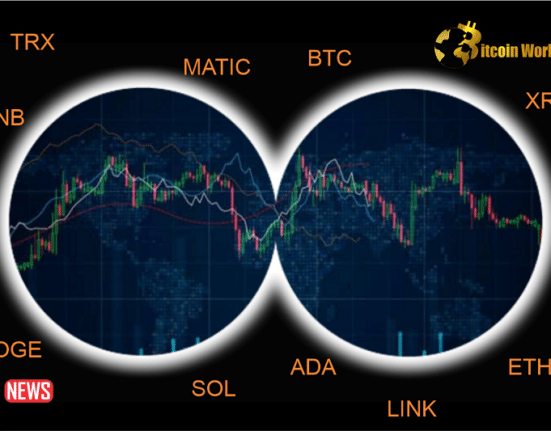 The Price Of Bitcoin SV Fell More Than 3% In 24 Hours