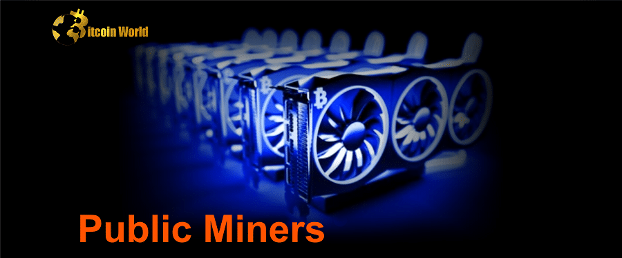 Public miners increased Bitcoin production, hash rate in January